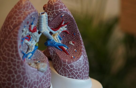 Lungefunktionstest: Sådan overvåger du dit åndedræts sundhed