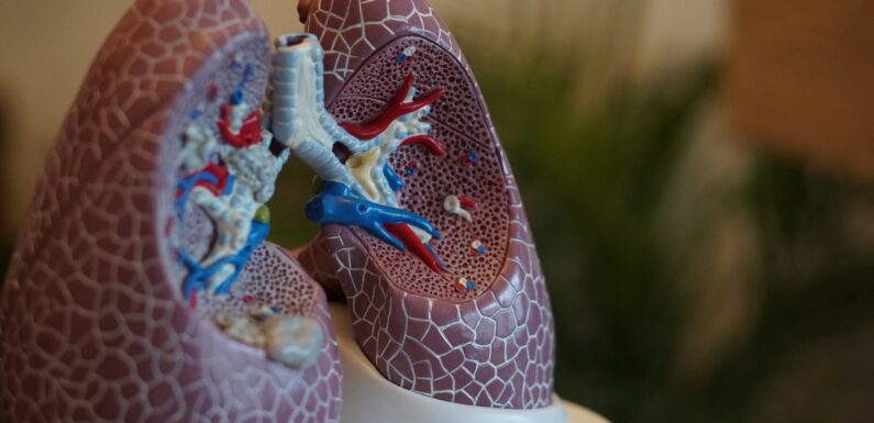 Lungefunktionstest: Sådan overvåger du dit åndedræts sundhed