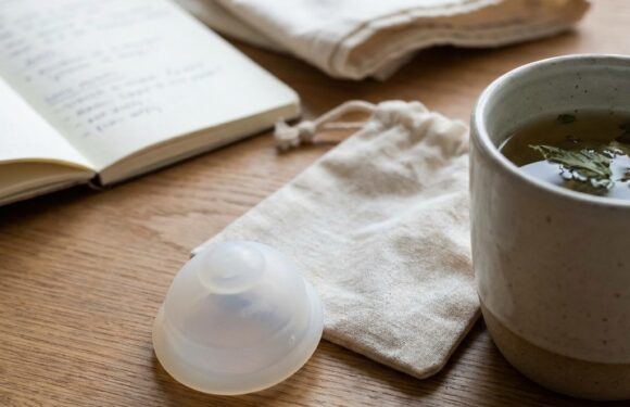 Alt du skal vide om menstruationsdisk