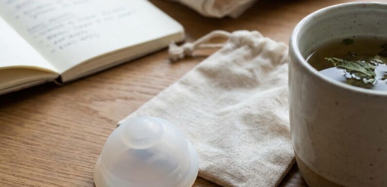Alt du skal vide om menstruationsdisk